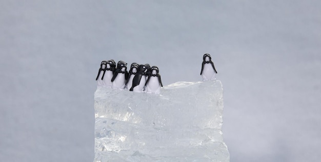 juguetes pingüinos en un témpano de hielo