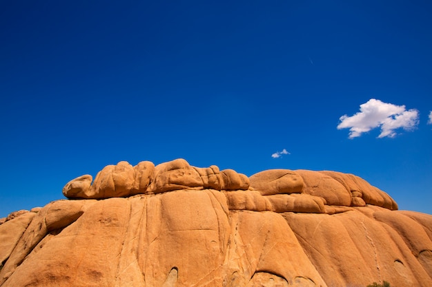 Jumbo Tree National Park Jumbo Rocks Yucca Valley Desert California