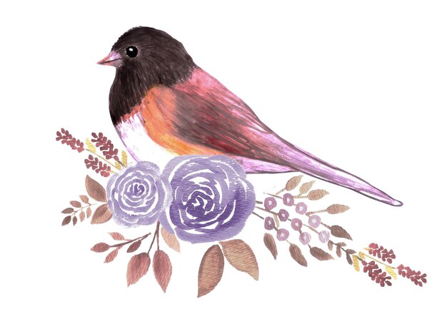 Foto junco de olhos escuros e planta perene com flores pintura a aquarela