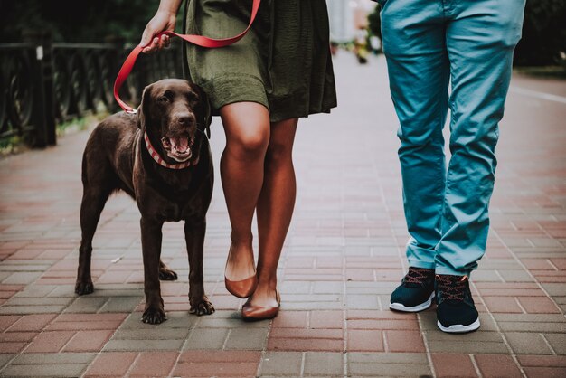 Junge Afroamerikaner-Paare, die mit Hund gehen.