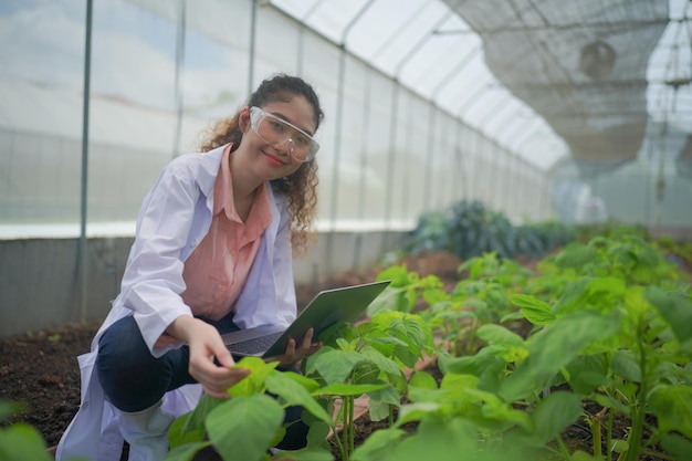 Junge Agronomin, die Gemüsepflanzen im Gewächshaus überwacht