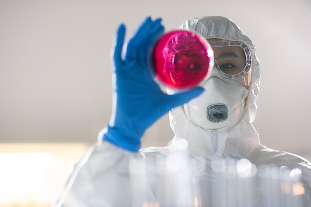 Junge Apothekerin oder Chemikerin in schützender Arbeitskleidung, die neues flüssiges chemisches Element der purpurroten Farbe in der Petrischale untersucht