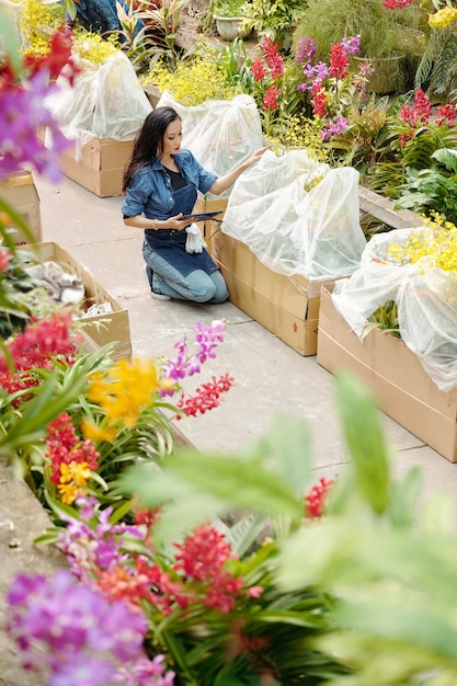 Junge Asiatin, die im Gewächshaus arbeitet, überprüft Online-Bestellungen und verpackt Blumen für Kunden