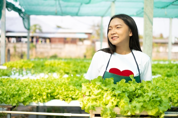 Junge asiatin, die in einem hydroponischen systemgemüse organische kleine salatfarm arbeitet.