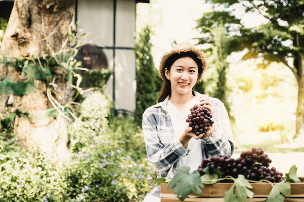 Junge asiatische Bäuerin, die nach der Ernte Trauben mit Holzkiste hält, die gesunde Früchte des Weinbergs bildet?
