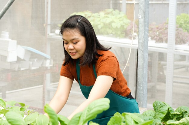 Junge asiatische Bäuerin kümmert sich um Hydrokultur-Gemüse