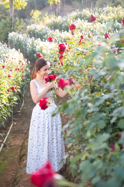 Junge asiatische Frau, die ein weißes Kleid trägt, posiert mit einer Rose im Rosengarten