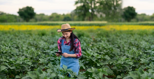 junge asiatische frau landwirt prüft die qualität der pflanze im grünen. moderne hydrophonische Landwirtschaft