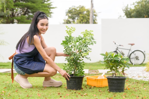 Junge asiatische Frau pflanzt im Garten im Freien zu Hause einen Baum