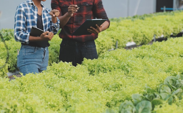 Junge asiatische Frau und älterer Bauer arbeiten zusammen auf einem Bio-Hydrokultur-Salat-Gemüsebauernhof. Moderner Gemüsegartenbesitzer überprüft mithilfe eines digitalen Tablets die Qualität des Salats im Gewächshausgarten