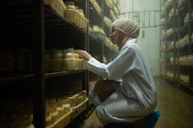 Junge asiatische muslimische Wissenschaftlerin forscht in einer Pilzfabrik und untersucht das Treibmittel für Pilze in einem sterilen und temperaturkontrollierten Raum