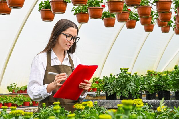 Junge attraktive Frau, die in der Pflanzengärtnerei arbeitet Growing flowers