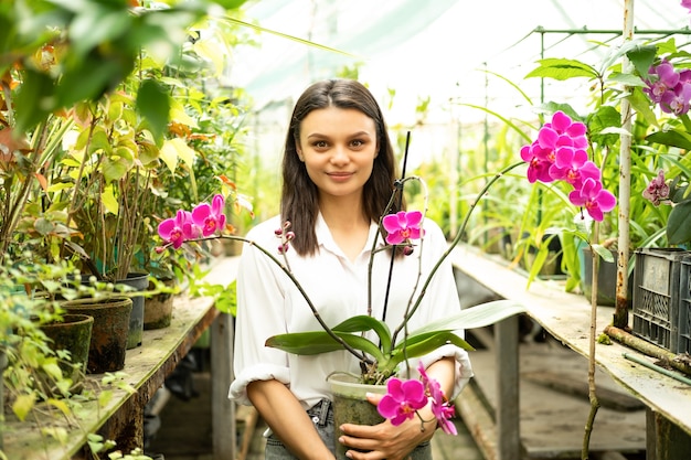 Junge attraktive Geschäftsfrauen in weißer Bluse mit rosa Orchidee im Gewächshaus