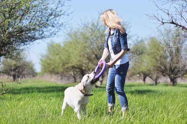 Junge Blondine spielt im Frühjahr mit einem Labrador im Gras.