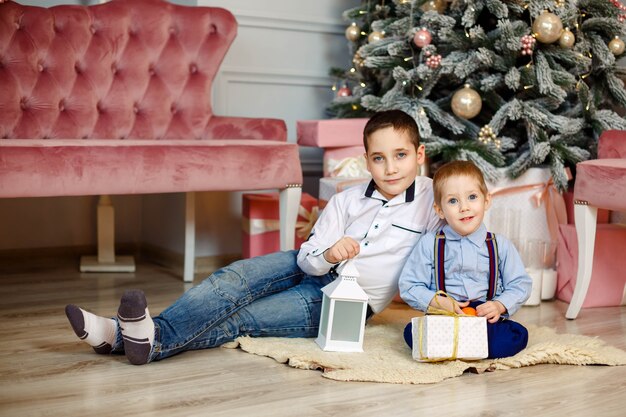 Junge Brüder in der Nähe von Weihnachtsbaum