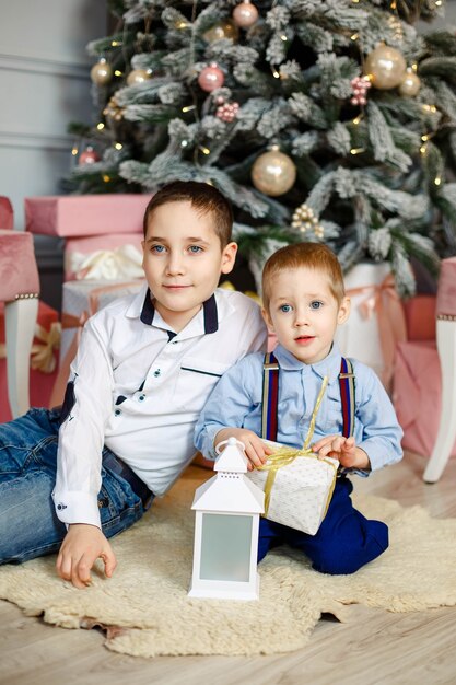 Junge Brüder in der Nähe von Weihnachtsbaum