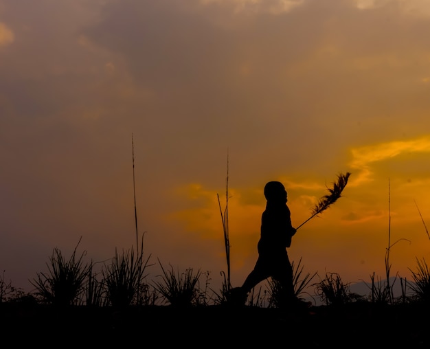 Junge, der auf die Wiese bei Sonnenuntergang geht