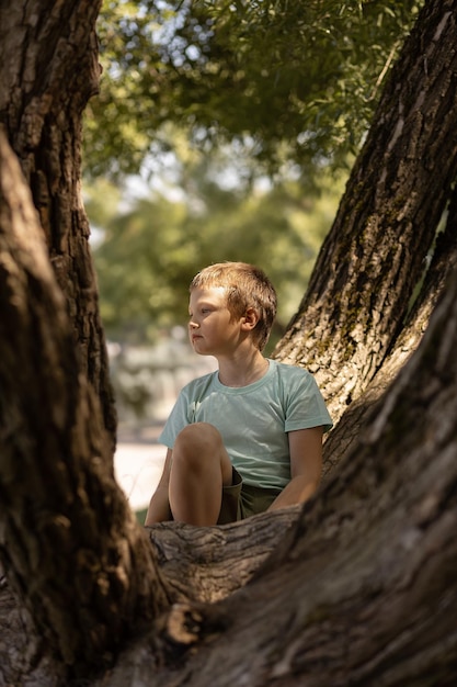 Junge, der auf einem Baum sitzt