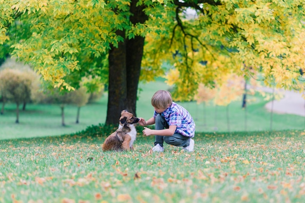 Junge, der einen Hund umarmt und im Herbst mit Stadtpark spielt