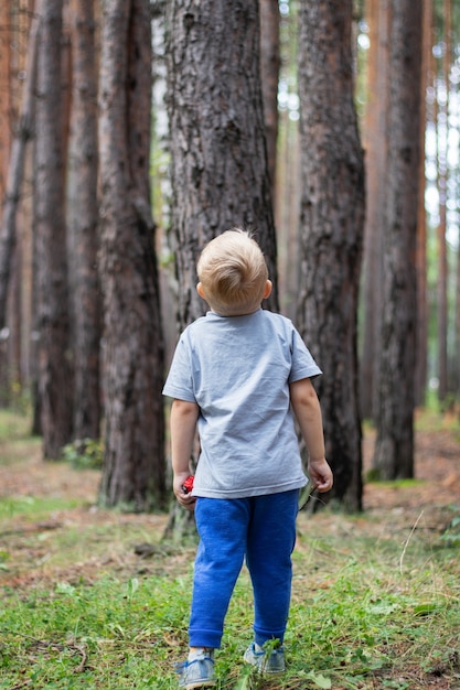 Junge, der im Wald spazieren geht