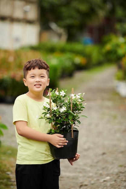 Junge, der Topf mit blühender Blume hält