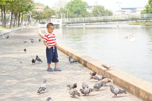 Junge, der Vögel im Park füttert