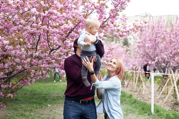 Junge Eltern spielen mit entzückendem kleinen Sohn im Park mit Sakura-Kirschblütenbaum Glückliche Mutter und Kind