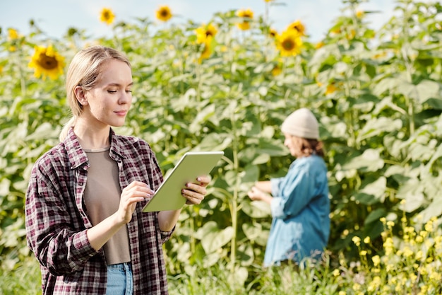 Junge ernsthafte Bäuerin in Arbeitskleidung, die vor der Kamera steht und digitale Tablette gegen Sonnenblumenfeld und reife Frau verwendet