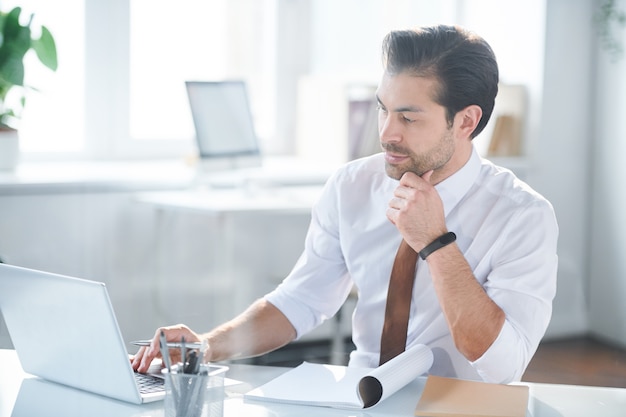 Junge ernsthafte Büroangestellte, die sich darauf konzentrieren, Online-Daten während der Arbeitsplanung zu durchsuchen