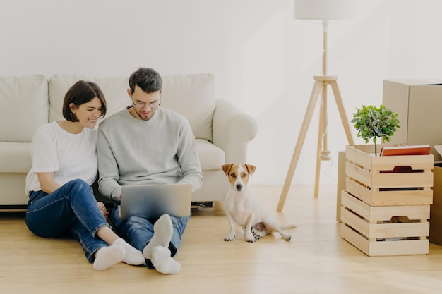 Junge europäische Familienpaare entspannen sich während der Hausrenovierung, die sich auf die Renovierung des Laptop-Computerplans konzentriert, sitzen in der Nähe der Couch mit Lieblings-Rassehundeboxen mit persönlichen Sachen und Stehlampe