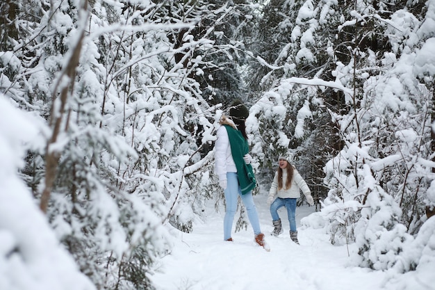 Junge Familie für einen Spaziergang. Mutter und Tochter gehen in einem Winterpark spazieren.