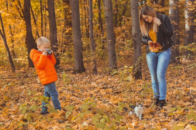 Junge Fotograf fotografiert eine Katze im Park im Herbst Mutter sieht auf dieser Haustier Fotokunst