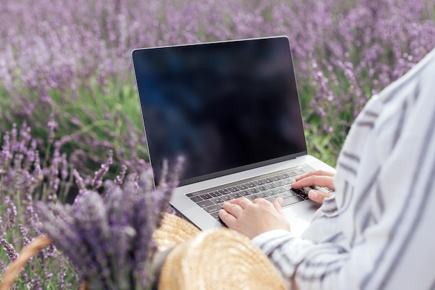 Junge Frau, die am Computer auf dem Lavendelgebiet arbeitet