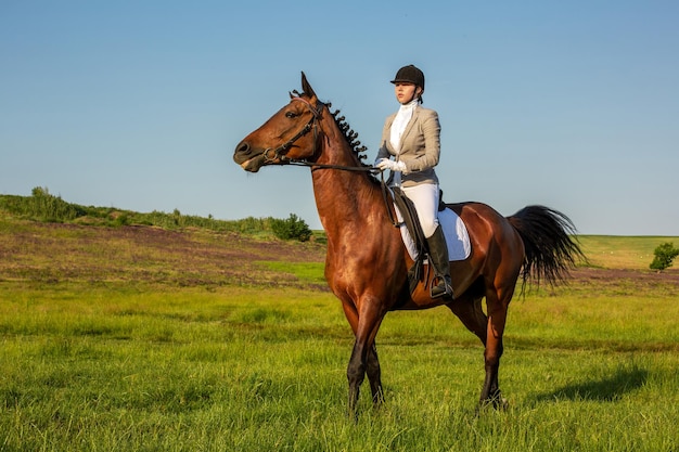 Junge Frau, die auf einem Pferd auf der grünen Wiese reitet. Reiten. Wettbewerb. Hobby
