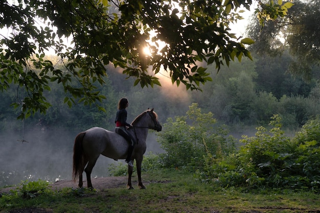 Junge Frau, die bei morgendlichem Nebelsonnenaufgang auf einem weißen Pferd auf einem wunderschönen Landschaftssee reitet