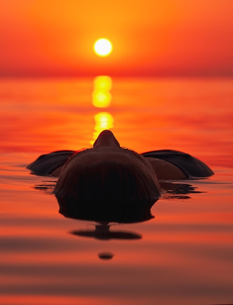 Junge Frau, die bei Sonnenaufgang im Meer schwimmt