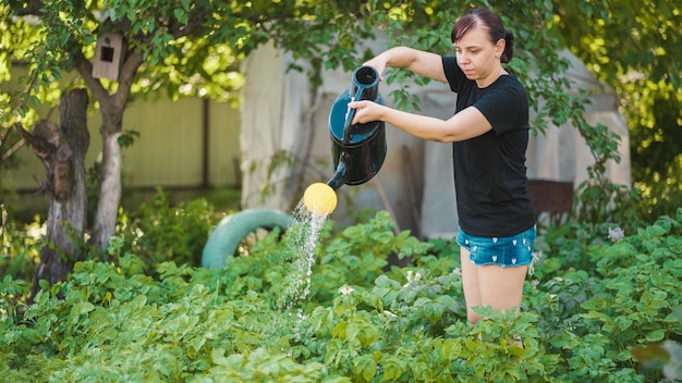 Junge Frau, die den Gemüsegarten aus der Gießkanne wässert Nahaufnahme des weiblichen Bewässerungssaatbetts von Kartoffeln Konzept der Sommer- und Gartenpflege, Bio-Produkte und umweltfreundlicher Lebensstil