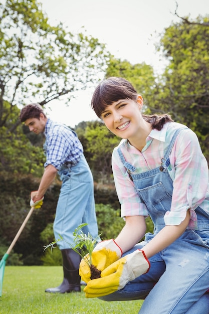 Junge Frau, die einen Schössling im Garten- und Mannreinigungsgras pflanzt