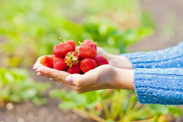 Junge Frau, die Erdbeeren in einer Hand hält