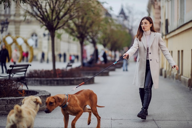 Junge Frau, die ihren Hund geht. Ihr streunender Hund spielt mit einem anderen Hund