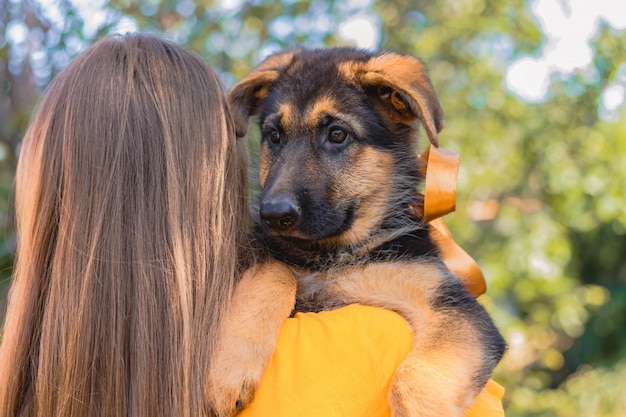 Foto junge frau, die ihren schäferhundwelpen auf schulter hält