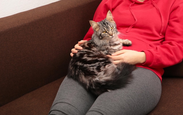 Junge Frau, die mit Katze auf braunem Sofa liegt