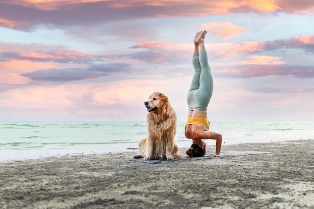 Junge Frau, die morgens Yoga in der Nähe ihres Hundes macht Gesundes, aktives Lebensstilkonzept Entspannung mit einem Haustier