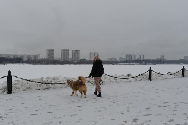 Junge Frau geht im Winter mit Australian Shepherd am Damm im Stadtzentrum entlang