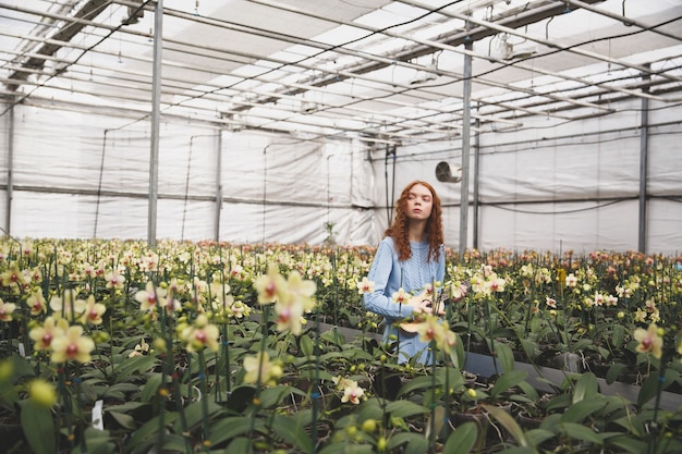 Junge Frau im blauen Kleid, das zwischen weißen Orchideen steht und wegschaut