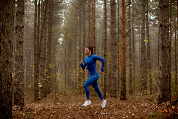 Junge Frau im blauen Trainingsanzug läuft im Herbst auf dem Waldweg