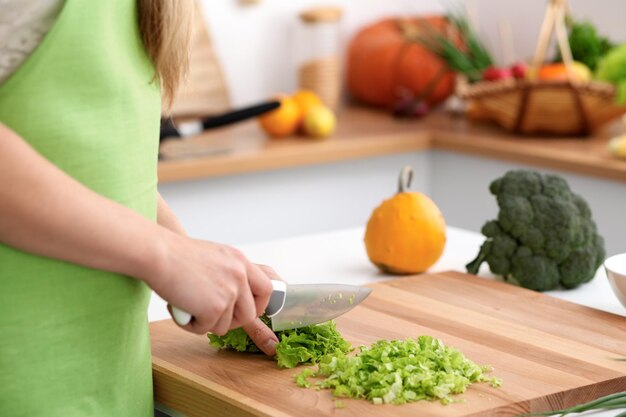 Junge Frau in der grünen Schürze, die in der Küche kocht. Hausfrau, die frischen Salat schneidet.