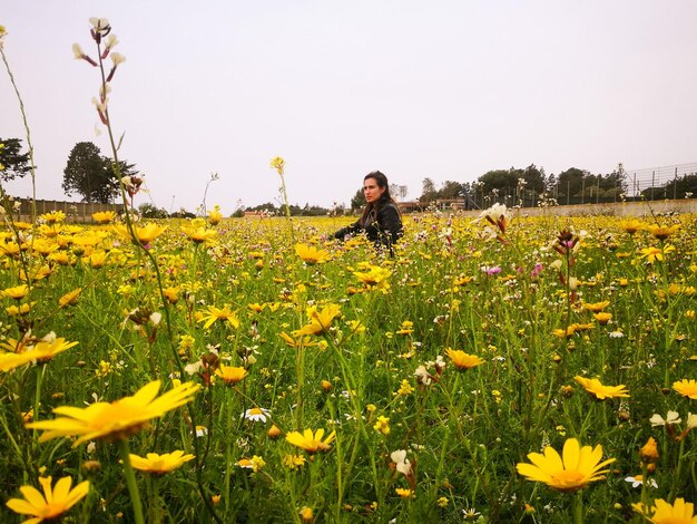 Foto junge frau inmitten gelber blumen auf dem feld gegen klaren himmel