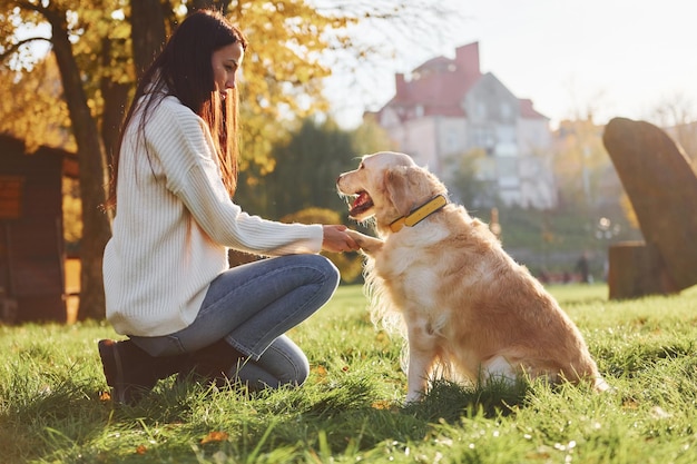 Junge Frau macht einen Spaziergang mit Golden Retriever im Park