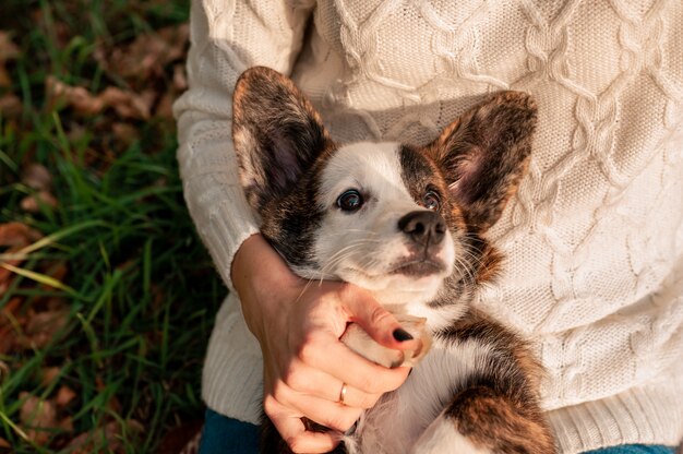 Junge Frau mit ihrem Hund in der Herbstfarbe